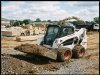 Bobcat